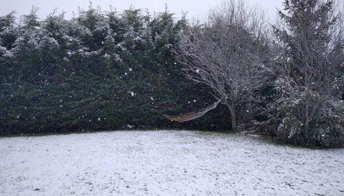 Casa las Niñas - Foto 4