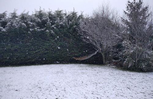 Casa las Niñas - Photo 4