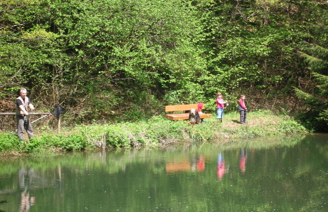 Michelshof - Foto 11