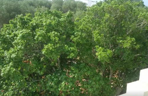 Infinity Pool Villa - Foto 55