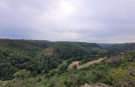 Falkenhof Meisdorf - Foto 15