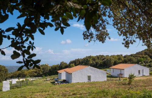 Agriturismo Cultisia Luogosanto - Foto 20