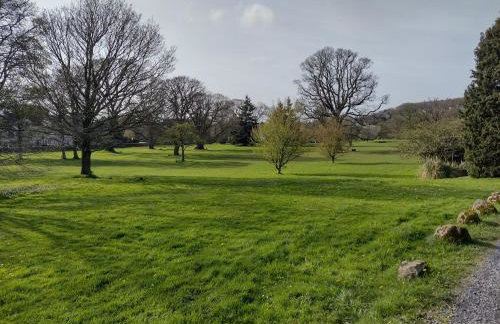 Ryan's Cottage - Photo 69