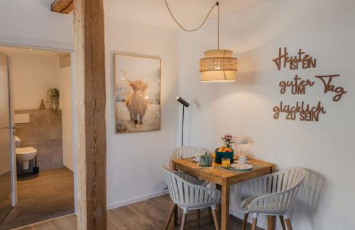 MAINTERRASSE Boardinghouse am Fluss klimatisierte Apartments mit 80qm Terrasse - Foto 28