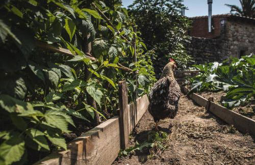 La Casa de Consuelo 3 - Foto 33