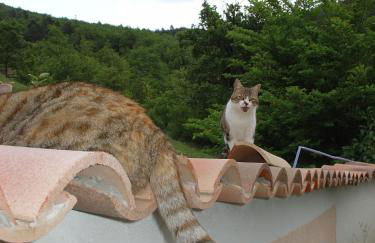 LE GRAND PARIS LA MAISON DE VACANCES - Foto 16