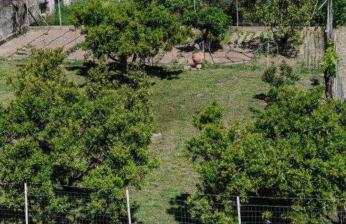 Zandre shiny apartment - Foto 19