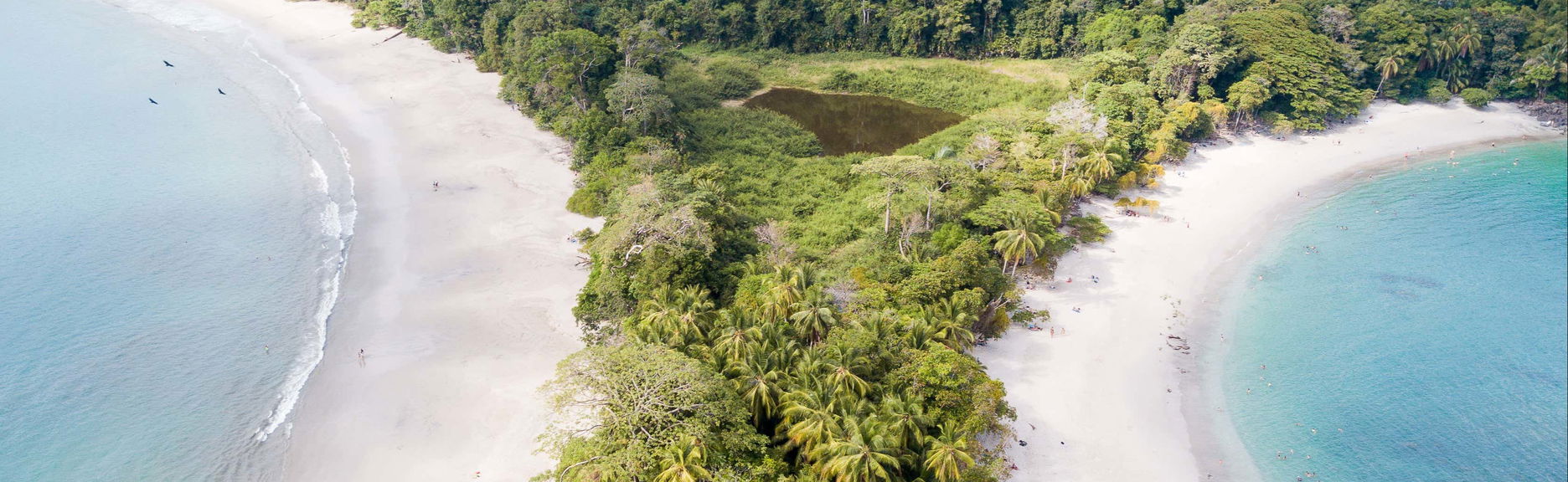 Excursion au Parc National Manuel Antonio avec billets