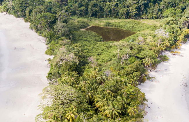 Tour pelo Parque Nacional Manuel Antonio com ingresso - Foto 1