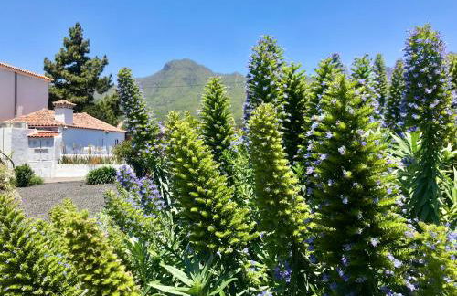 Casita La Rosa - Foto 58