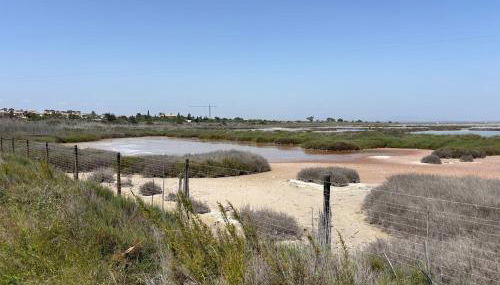 Casa Antonia - Foto 3