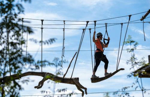 Ferienwohnung am Brunnen - Foto 33