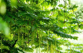 Wohnen im Carl Maria von Weber Geburtshaus - Foto 7