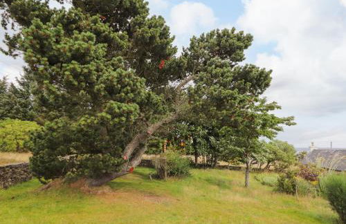 Ceol na Mara - Foto 25