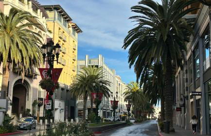 Santana Row Garden Retreat Private Executive Residence with Koi Pond and Waterfall Walk to Santana Row Valley Fair Dining and Shopping Private Entrance - Photo 3