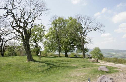 Ferienhaus mit zwei 4 Sterne Wohnungen bei Limburg - Foto 93