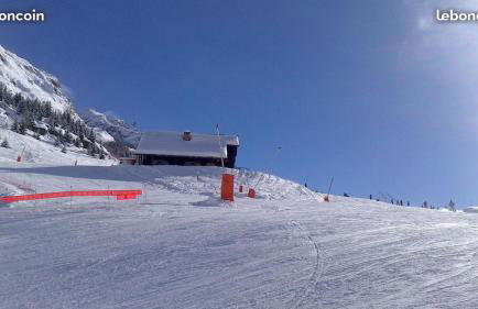 Le Perce Neige - Foto 22