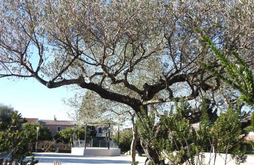 Entre mer et collines Appartement T2 - Foto 18