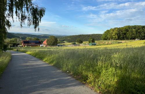 TOP moderne FeWo - Alpakahof zum Himmelreich, traumhafte Lage, Terrasse mit Weitblick, kostenfreier Parkplatz, Nähe Kurklinik, optional Sauna - Foto 37