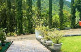 Chalé cipreste 4 Quartos - Foto 34