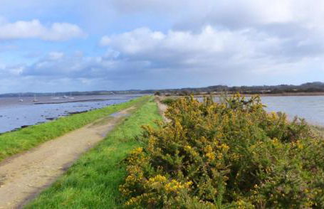 Le Krogen - Photo 32