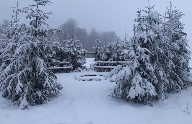 Treehouse Magpies Nest With Bubble Pool - Foto 30