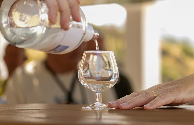 Degustación de vinos en Rodas, dentro de los viñedos con el productor. - Foto 7