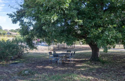 Gîte Chêne ou Murier - Photo 8