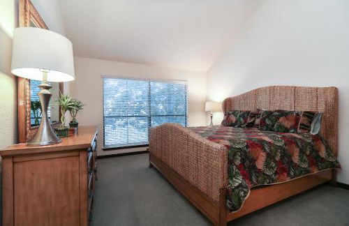 Resort Attractions - Foto 8