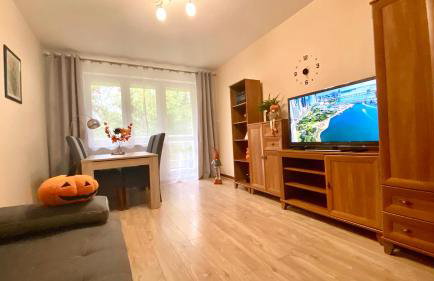 Apartament na Saperskiej, osiedle zamknięte, parking - Foto 15