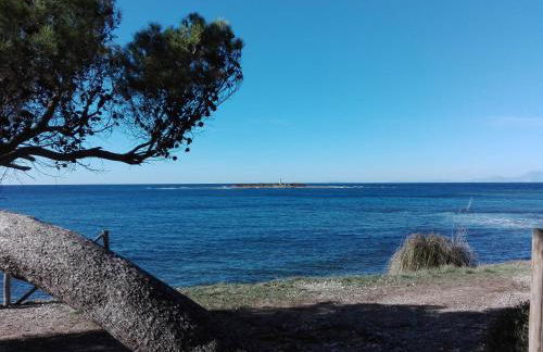 Elegante villa panoramica con giardino e idromassaggio a 10 minuti dal mare - Foto 74