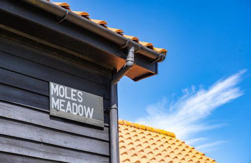 Moles Meadow - Foto 26