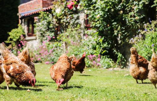 The Old Hayloft - Foto 22