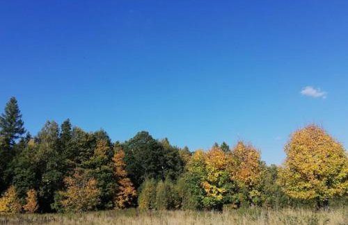 Apartamenty u Gołębiewskich - Foto 40