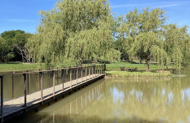 A 5 min de la plage en pleine nature - Foto 19