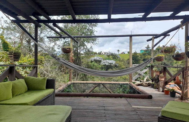 finca hotel zona 7 - Photo 35