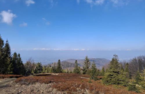 Hvile, gmina Brenna - BESKIDY - Foto 35