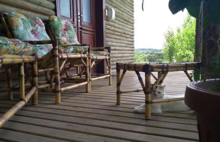 CHALÉ ESTÂNCIA OURO VERDE - Photo 23