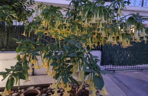 Dimitris place near Athens airport - Foto 7