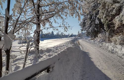 Ruhiges Apartment mit Sauna, Burggen - Foto 38