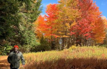 The Disco Den on Toad Road - Photo 28