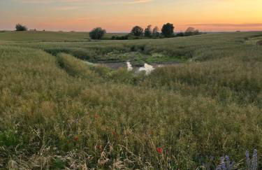 Pfarrhaus Tollensesee - Foto 35