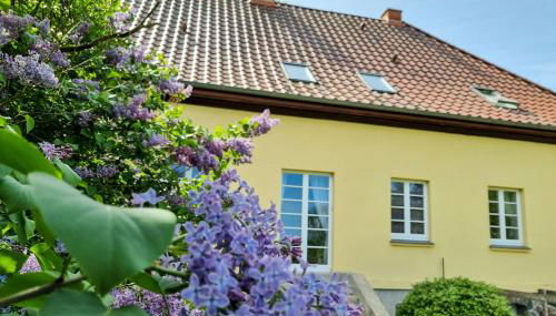 Gutshaus Neu Necheln - Foto 4, Garden, Garden view