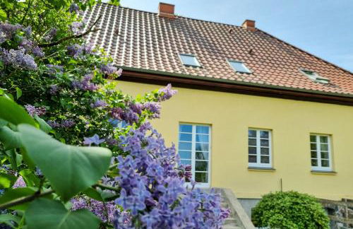 Gutshaus Neu Necheln - Foto 4