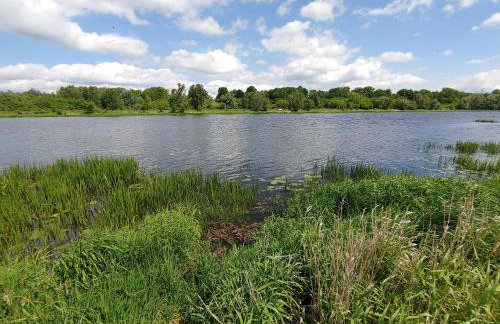 Masuria Warsaw - dom na wyłączność - w lesie i przy rzece - 15 min od Warszawy - Foto 53