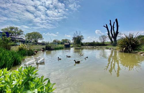 1 Bed in Deeside oc-86711 - Foto 18