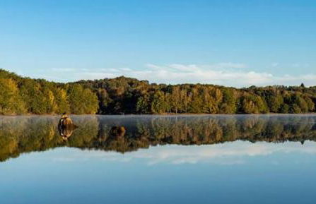 Thiat guest house - Foto 15