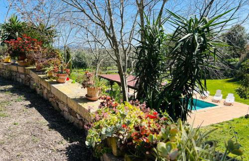 Ses Cases d'Alcudiola - Foto 74