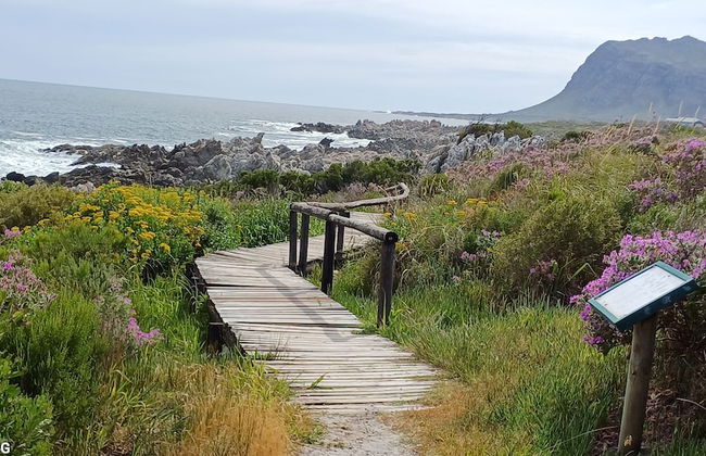 Kleinmond Panorama Holidays - Photo 22