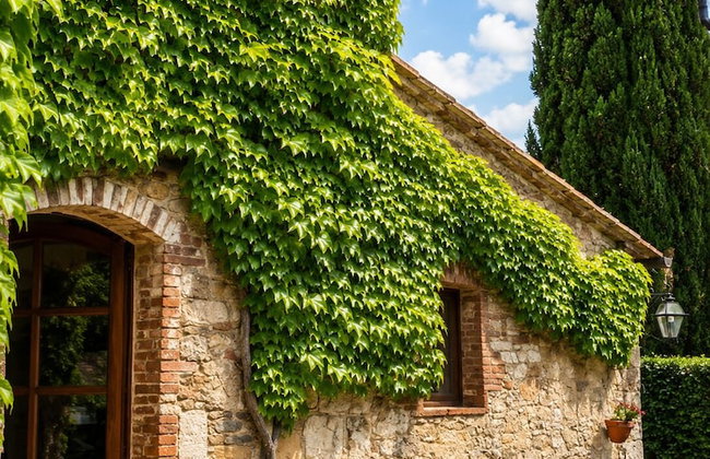 Borgo Livernano - Foto 72